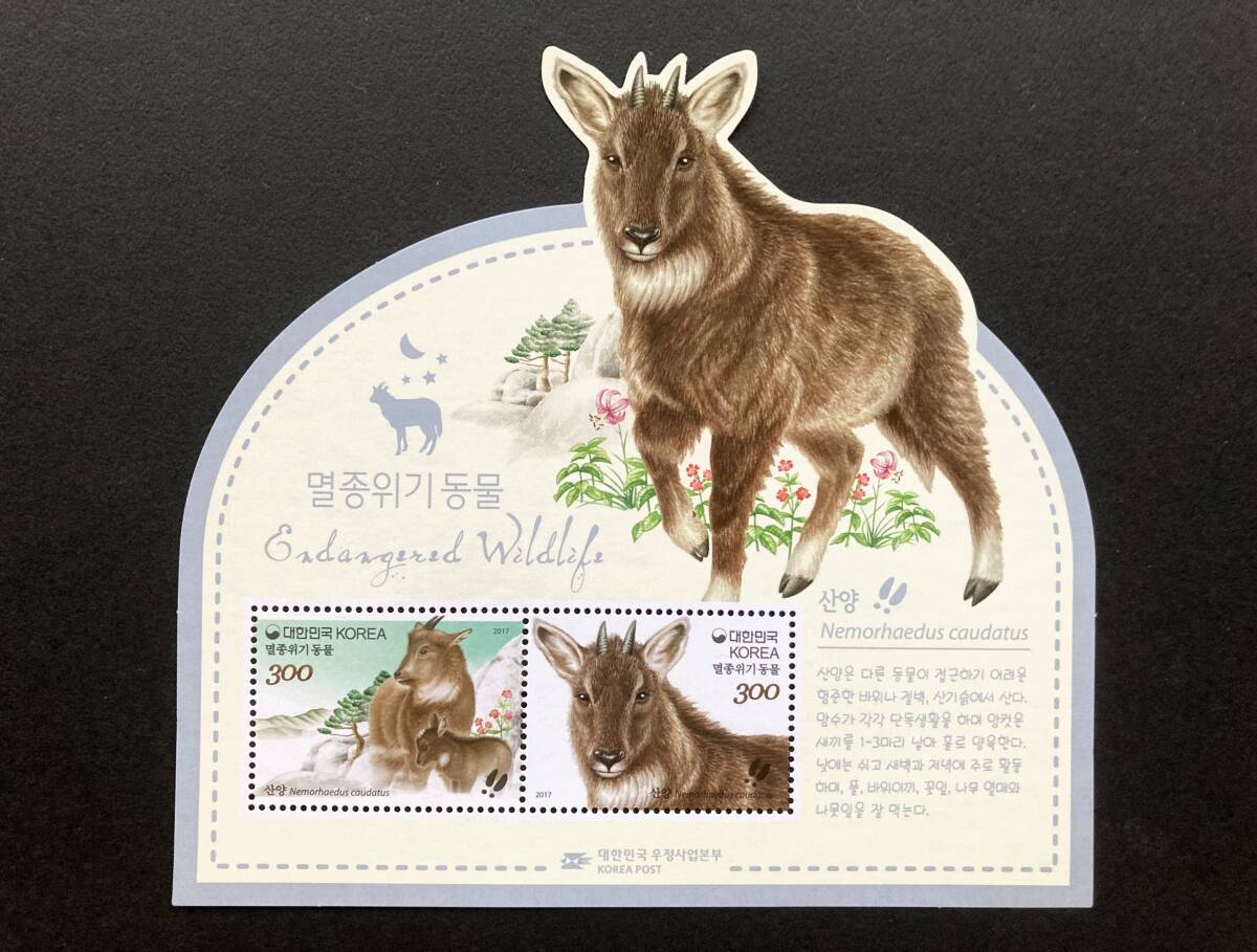 外国切手: 韓国切手 「絶滅危惧種・オナガゴーラル」 小型シート 未使用拍卖