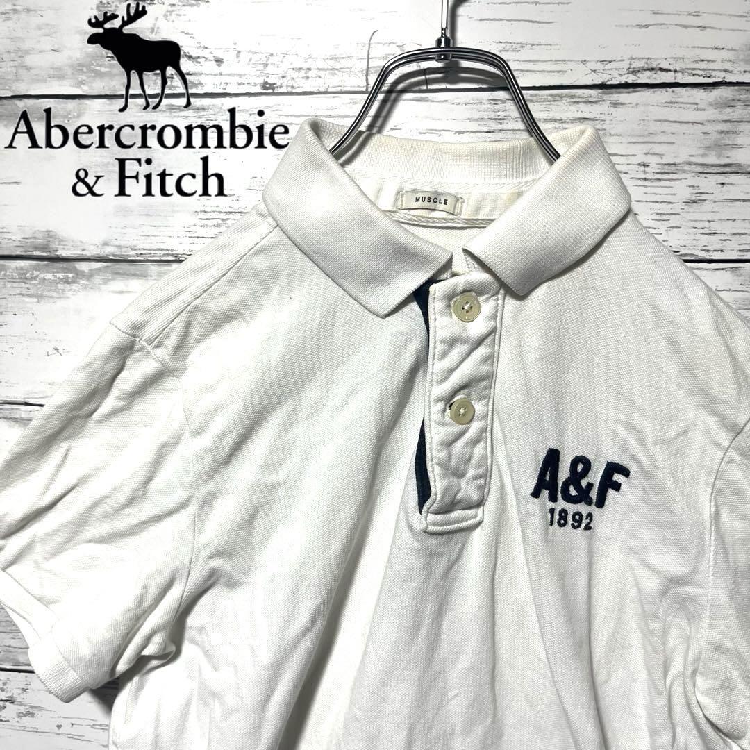 【人気商品】アバクロ ポロシャツ M D13拍卖