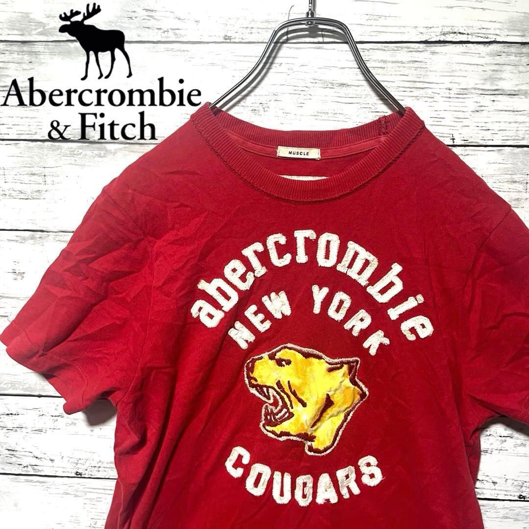 【希少デザイン】アバクロ 半袖Tシャツ XL C972拍卖