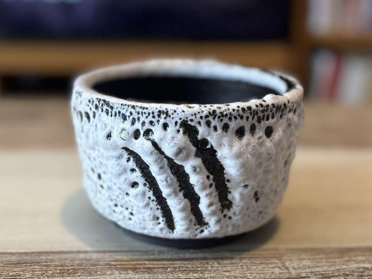 コラボ鉢 BOTANIZE x GREMLiNS カラー ブラック(ボタナイズ・グレムリン・ギズモ・コーデックス・アガベ・サボテン・塊根)拍卖