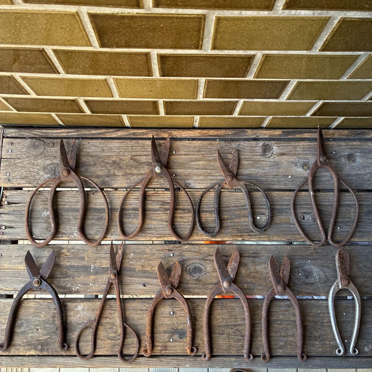 サビサビです 古い剪定鋏 10点セット ハサミ はさみ 剪定 盆栽 園芸 盆栽鋏 忠実 堺未廣 他 ジャンク品 難あり拍卖