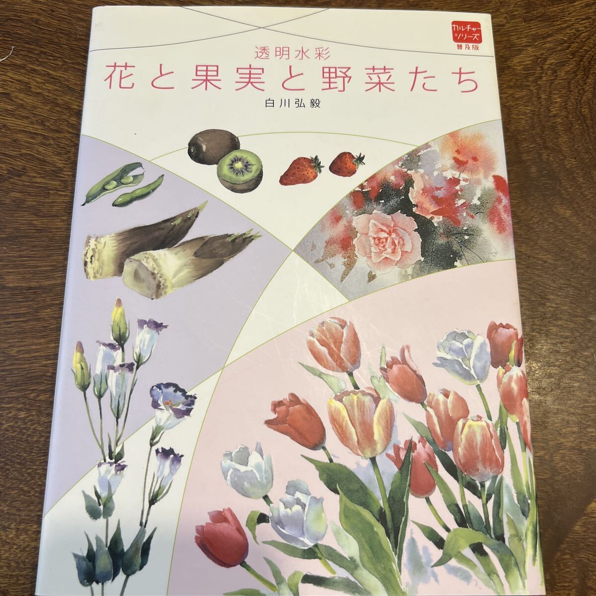 花と果実と野菜たち 透明水彩 (普及版カルチャーシリーズ) 白川弘毅/著拍卖