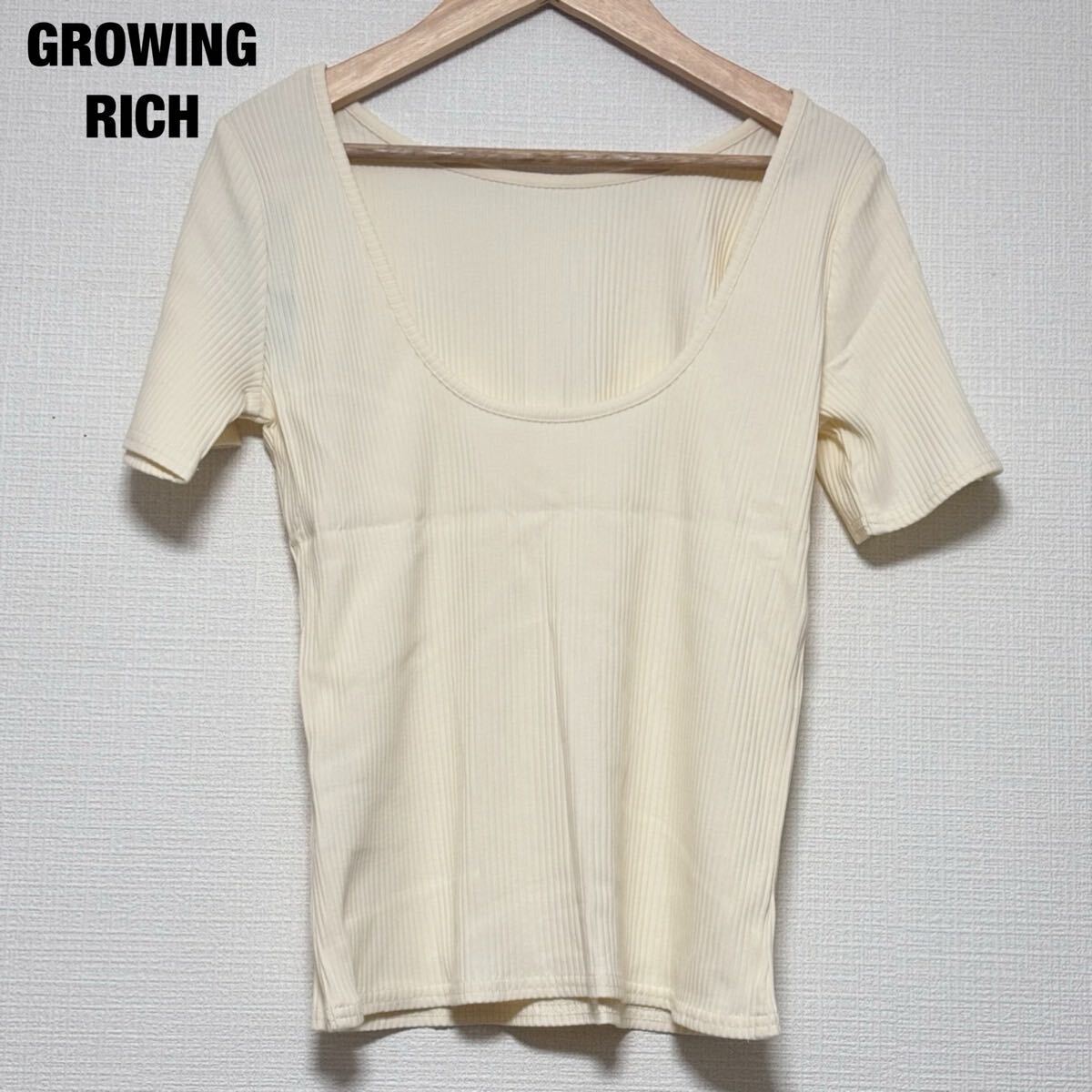 新品 タグ付き 未使用 GROWING RICH グローウィングリッチ レディース Tシャツ 半袖 Uネック ストレッチ オフホワイト M L フリーサイズ拍卖