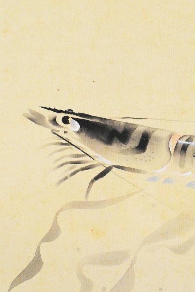 K6232 真作 佐野光穂「車海老」絹本 合箱 肉筆 菊池契月 富田渓仙師事 蝦 エビ 茶掛 中国 日本画 絵画 茶掛 掛軸 掛け軸 古美術拍卖