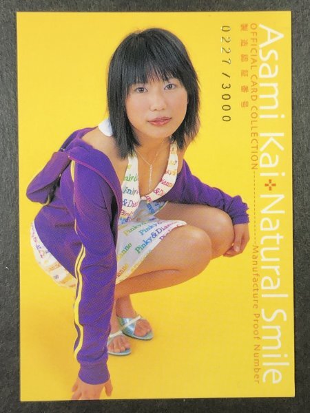 甲斐麻美 さくら堂 2005 シリアルナンバーカード 0227/3000 グラビア アイドル トレカ トレーディングカード拍卖