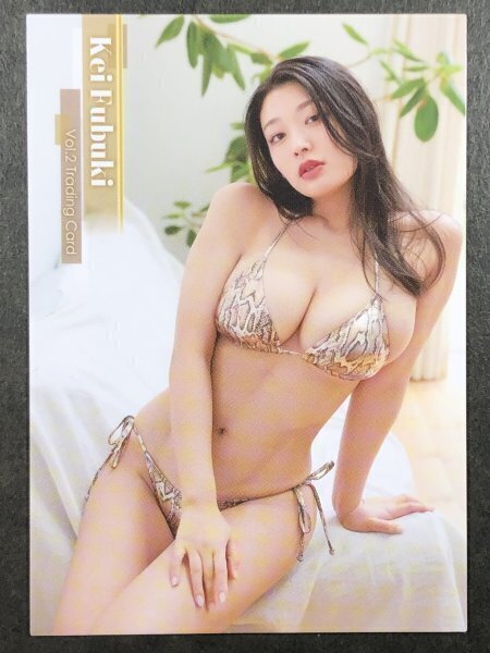 風吹 ケイ HIT's セカンド RG03 水着 Vol.2 グラビア アイドル トレカ トレーディングカード拍卖