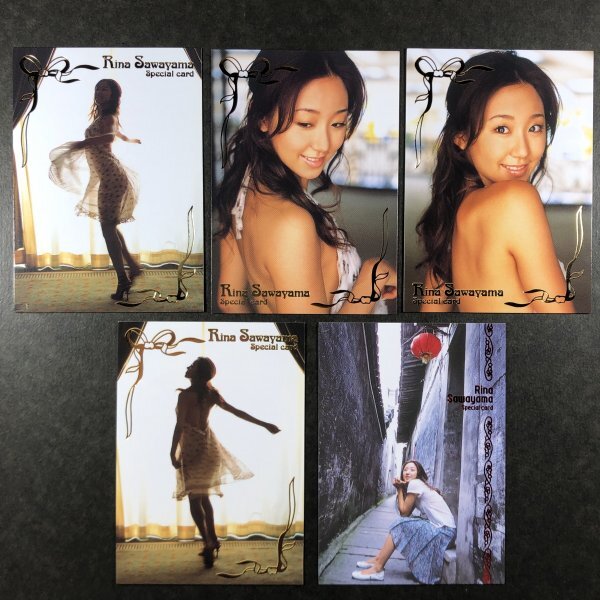 澤山璃奈 HIT's・ヒッツ 2007 箔押しカード 02~ 5枚セット フィギュアスケート グラビア アイドル トレカ トレーディングカード拍卖