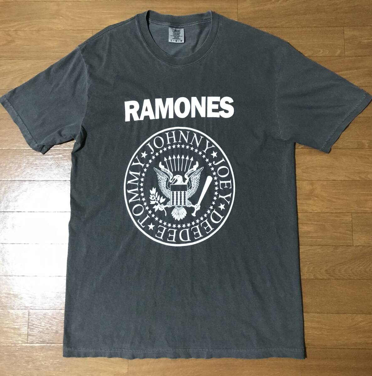 RAMONES ラモーンズ ビンテージTシャツ バンドT バンT パンクT ロックT拍卖