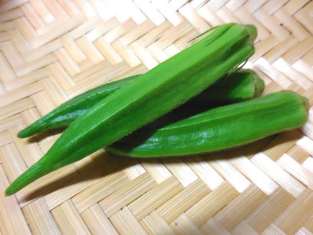 423.6.2◆まき菜 スプラウト オクラ 30粒◆人気 健康野菜 新芽野菜 サラダ 花おくら エディブルフラワー◆自然菜園 無農薬 無化学肥料 種苗拍卖
