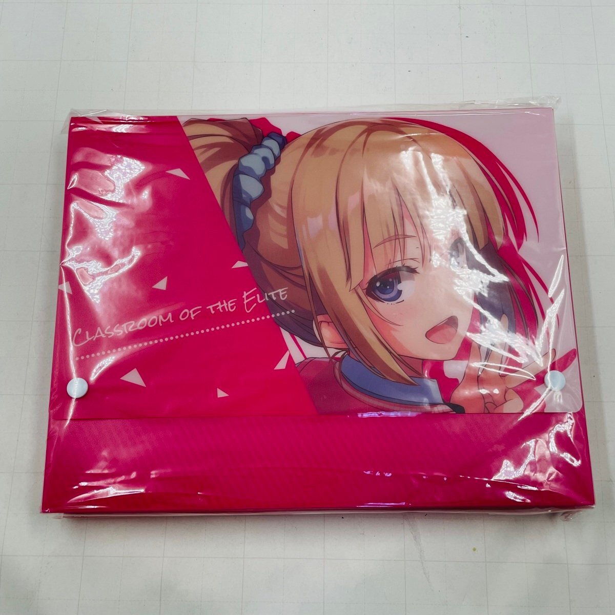 新品未開封 ようこそ実力至上主義の教室へ 終 とらのあな 軽井沢恵 キャリングケース拍卖