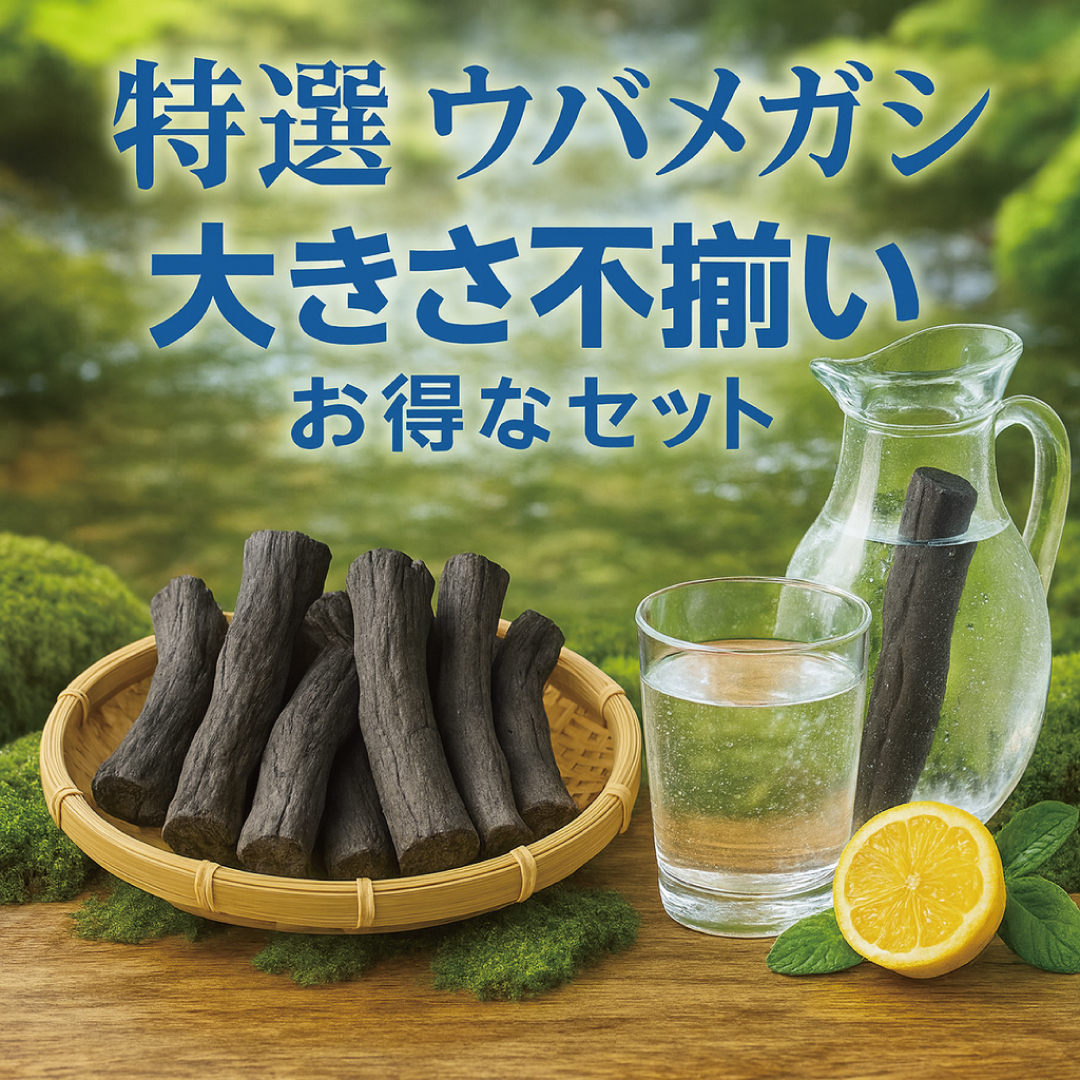 国産備長炭 ウバメガシ お水がミネラルたっぷり!拍卖