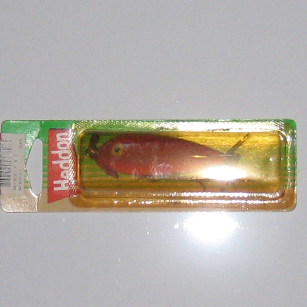 HEDDON WOUNDED B ZARA 現行 ヘドン ウンデッド ベビー ザラ 新品未使用 CBO拍卖