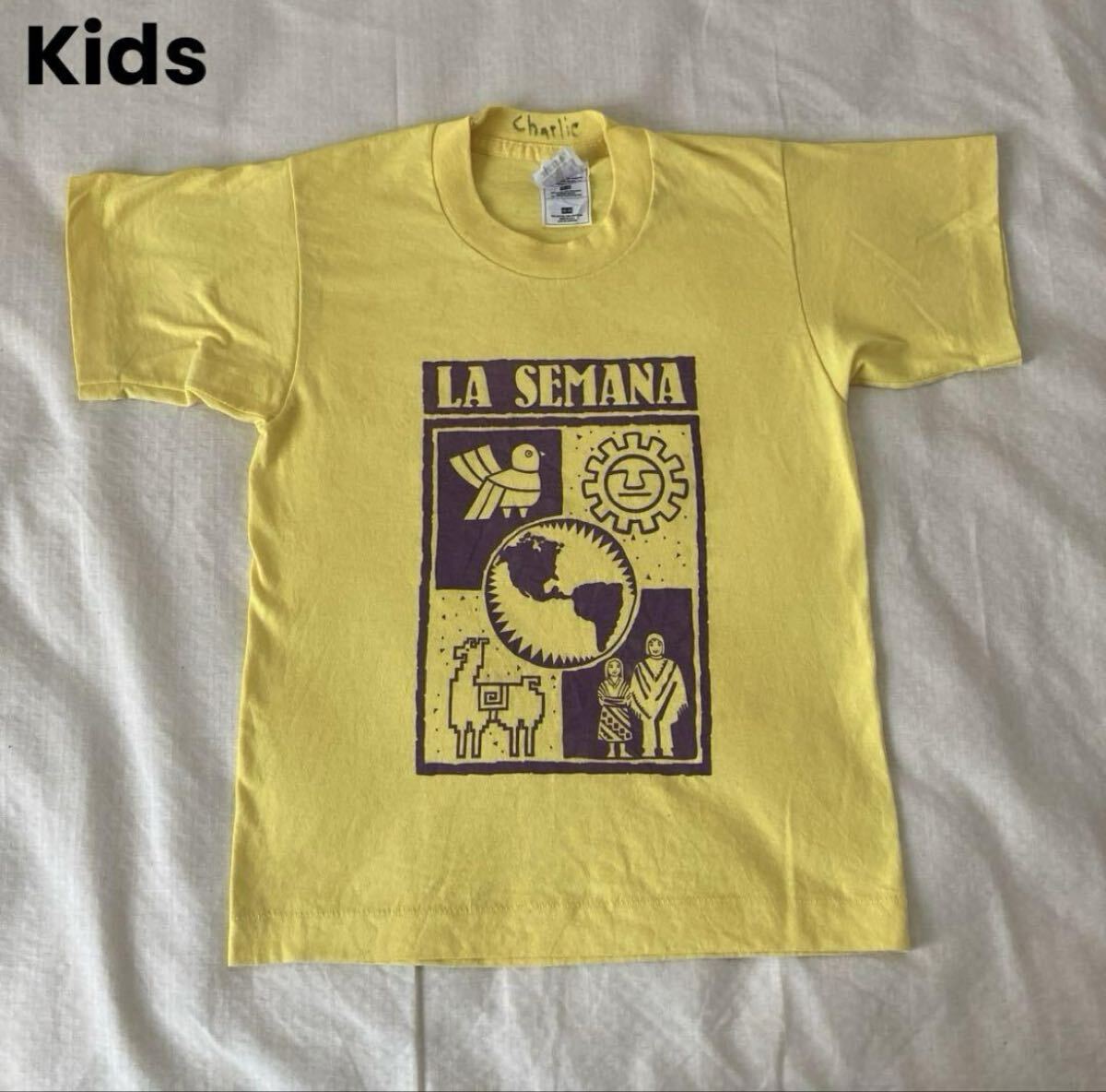 USA製 vintage Kids フルーツオブザルーム Tシャツ Tee Tシャツ シングルステッチ ビンテージ拍卖