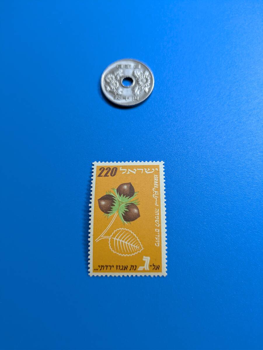 .【簡易出品】未使用 イスラエル 切手 1種 ★反り気味も綺麗かと思います。拍卖