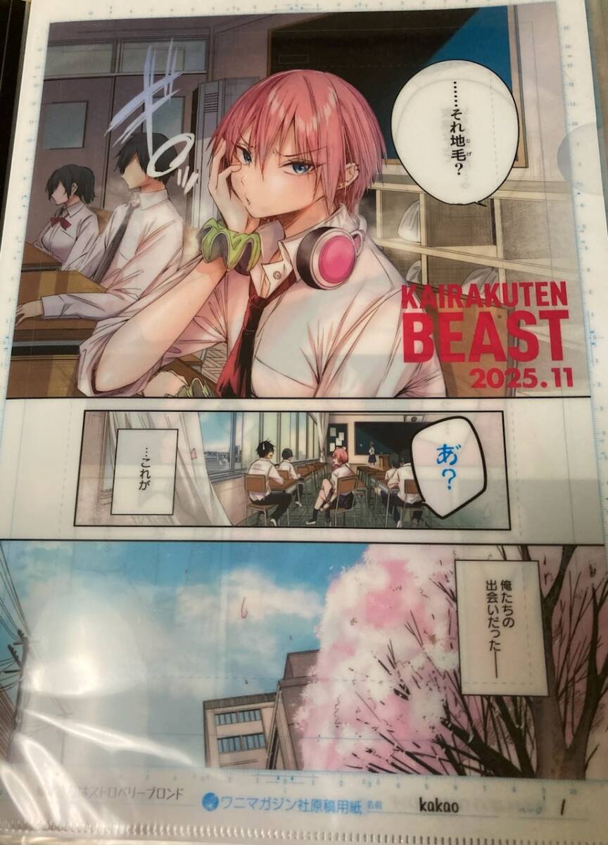 kakao クリアファイル file folder 快楽天 ワニマガジン拍卖