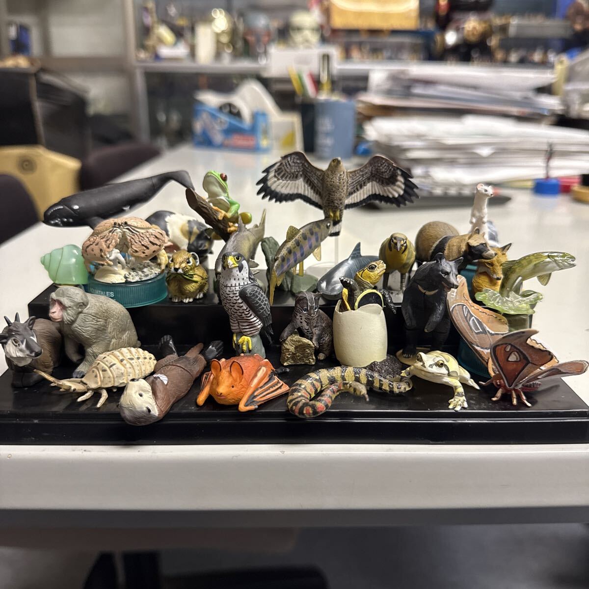 海洋堂 チョコQ チョコエッグ 日本の動物 コレクション フィギュアセット拍卖