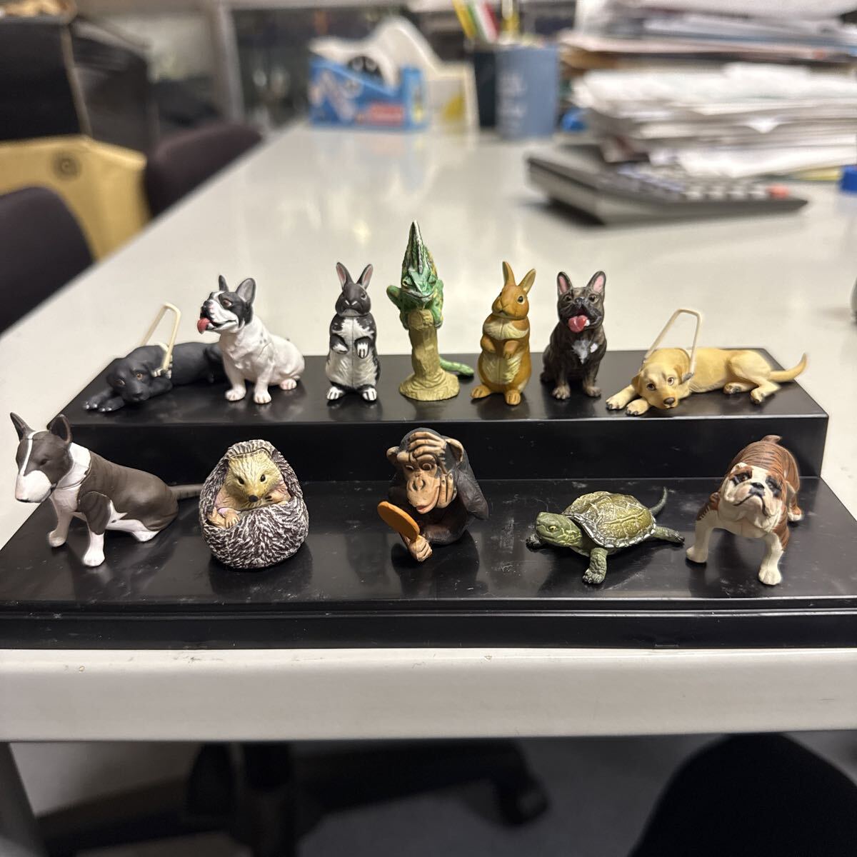 海洋堂 チョコQ チョコエッグ ペット 動物 コレクション拍卖