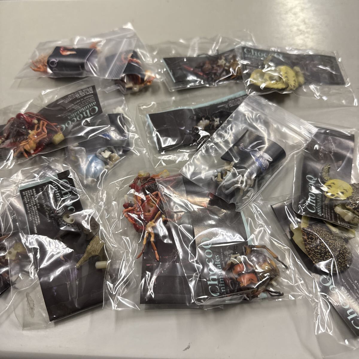 チョコQ アニマルテイルズ 人気種ばかり アメリカザリガニ サワガニ ノコギリクワガタ イリオモテヤマネコ マイタイ拍卖