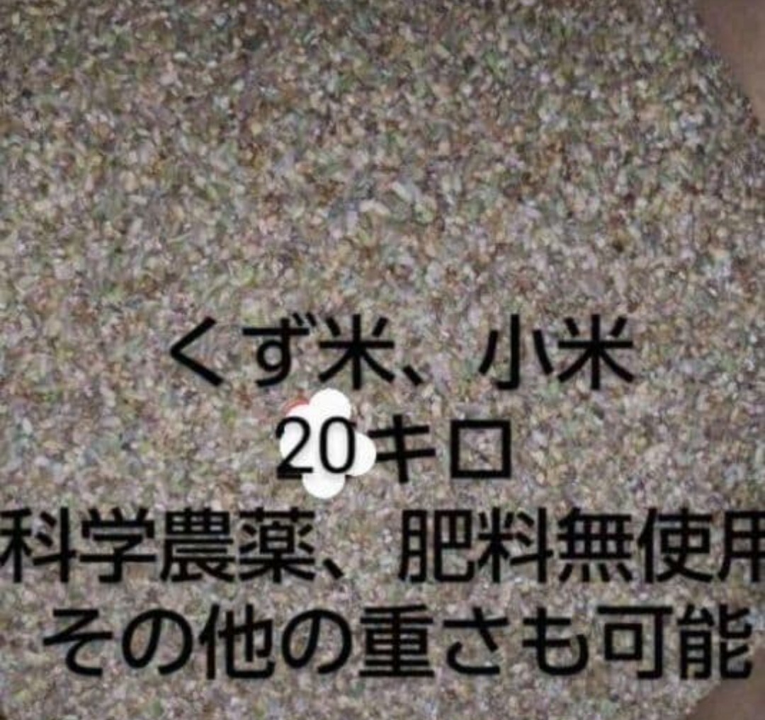 くず米、小米20キロ拍卖