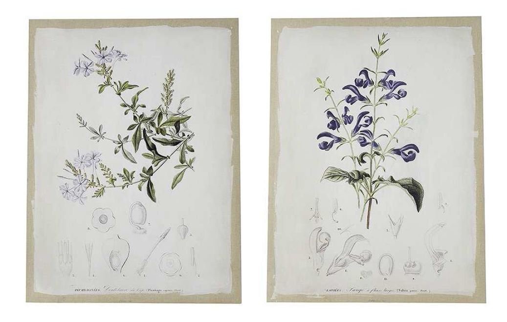 輸入雑貨 壁飾り キャンバス 花柄 リビングスタジオ 直輸入 クラシック シャビーシック アンティーク ナチュラル 姫系 85320WD 送料無料拍卖