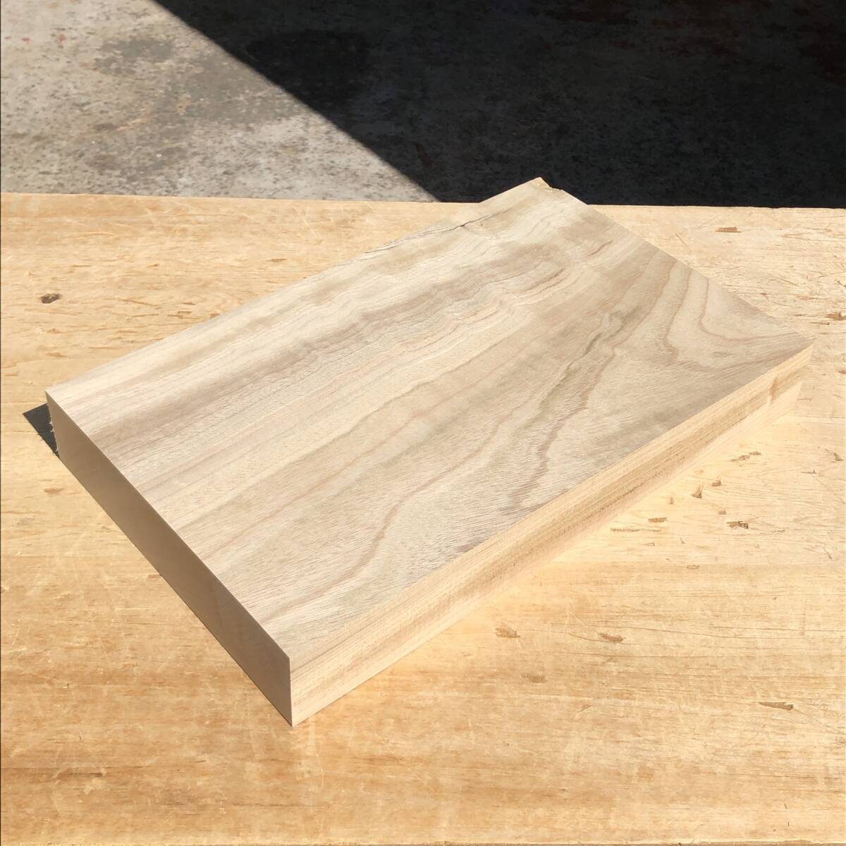 送料無料!楠【A421C】396×247×55mm クス 樟 木工 彫刻 木彫 天然木 自然素材 材木 木材 乾燥材 無垢材《銘木すずめや》拍卖