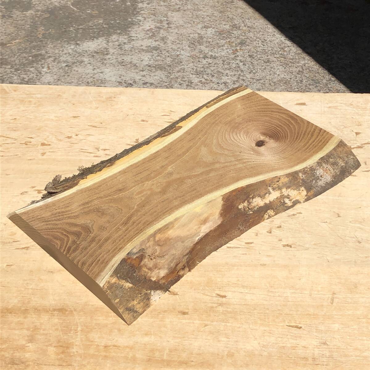 送料無料!槐【A459S】430~433×244~255×24mm エンジュ 延寿 縁起物 看板 天然木 自然素材 木材 乾燥材 無垢材《銘木すずめや》拍卖