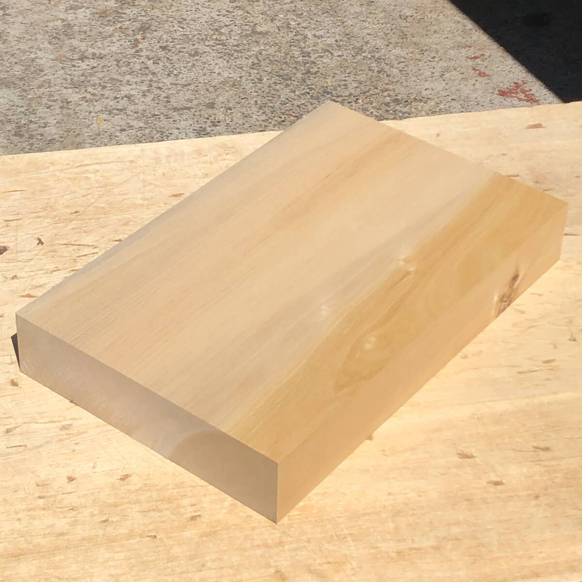 送料無料!銀杏【A473E】382×242×57mm イチョウ 彫刻 木彫 まな板 木工 天然木 自然素材 材木 木材 乾燥材 無垢材《銘木すずめや》拍卖