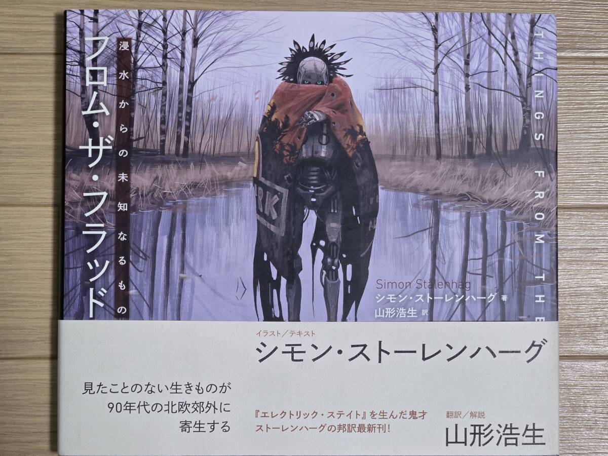 §浸水からの未知なるもの フロム・ザ・フラット§シモン・ストーレンハーグ拍卖