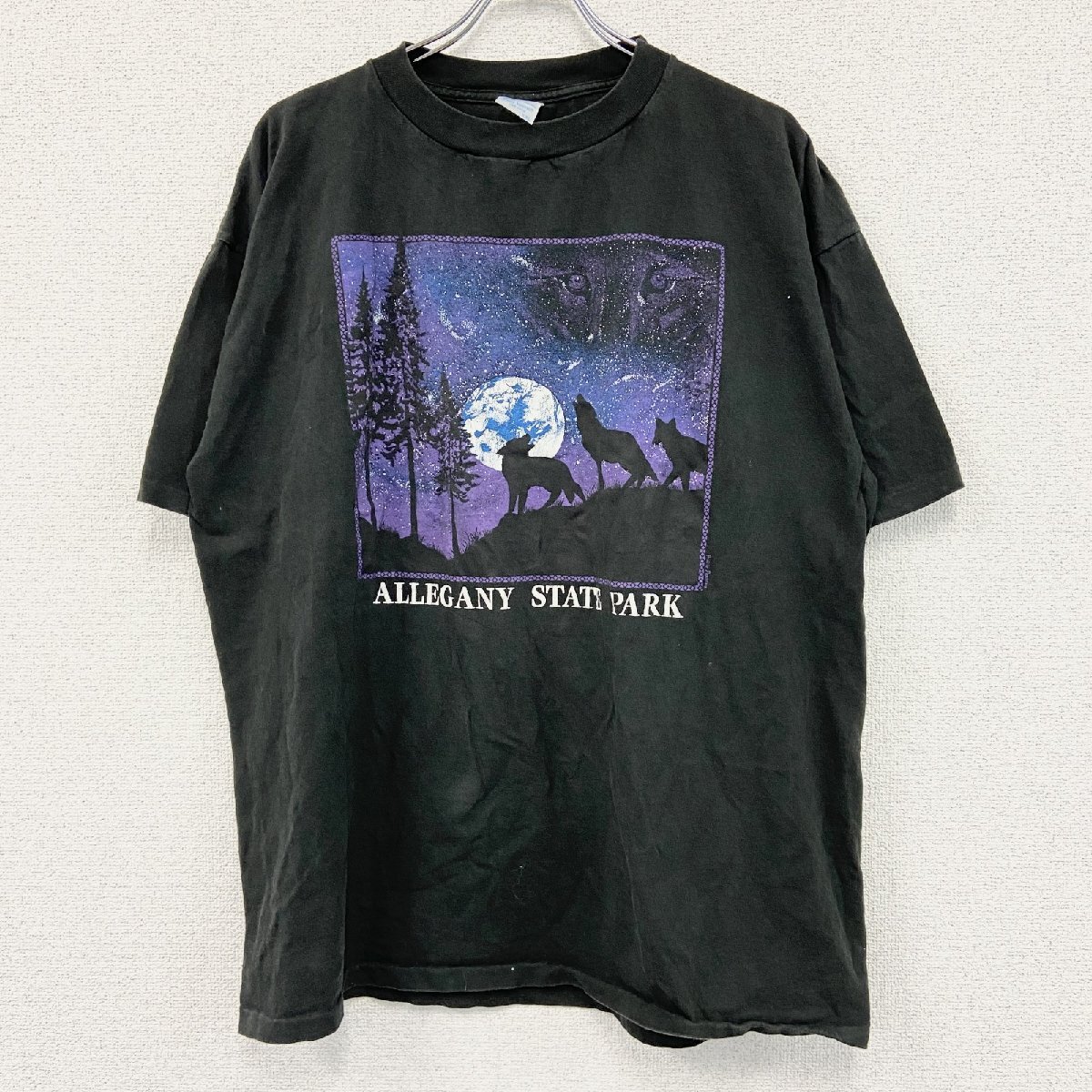 古着 used 90s Prairie Mountain 半袖プリントTシャツ シングルステッチ 黒 ブラック XXLサイズ拍卖