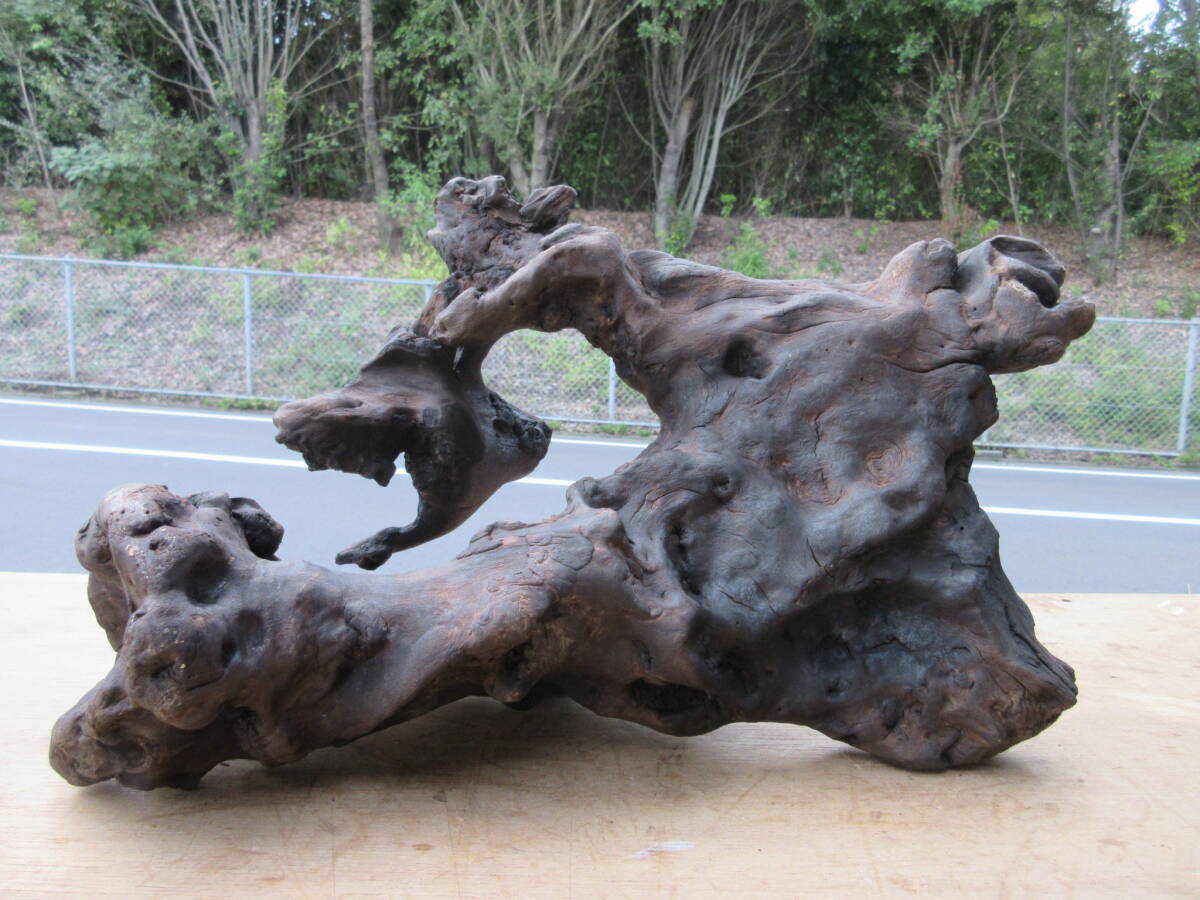 ★彡【流木】オブジェ・流木・山苔・苔盆栽・山野草・苔テラリウム・コケ・テラリウム★彡51020-6★拍卖