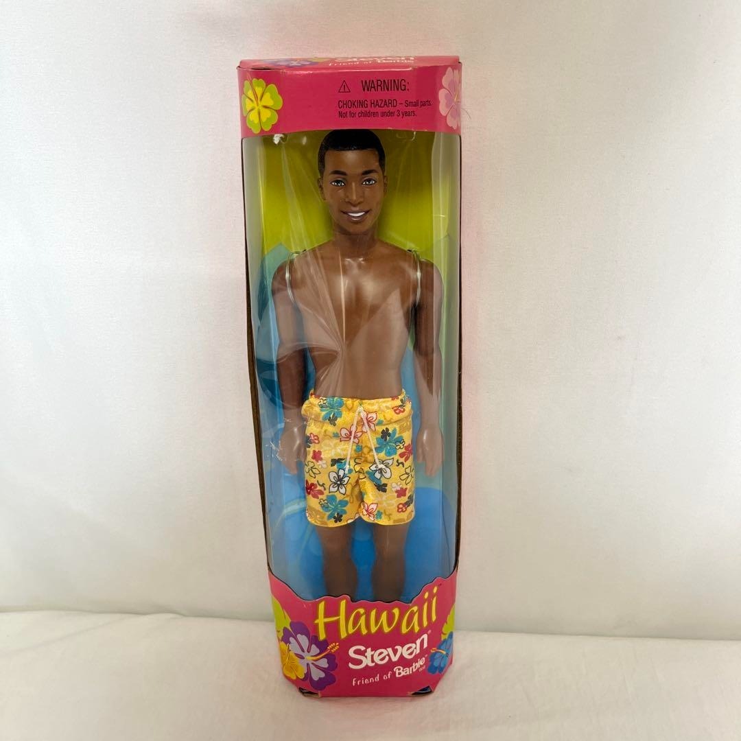 Friend of Barbie ハワイ steven 人形 レア バービー拍卖