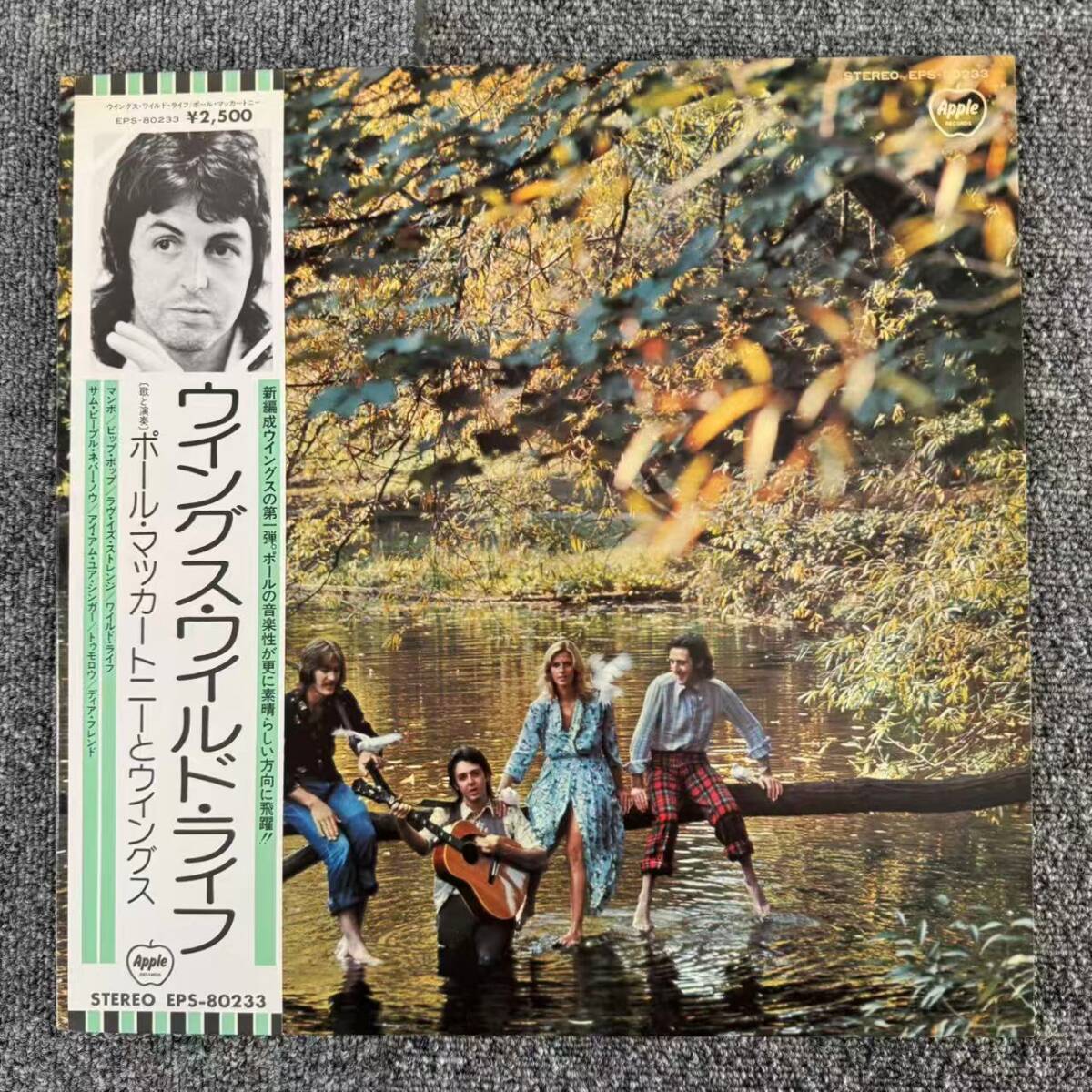 帯付 Rock LP / Wings (ウイングス) - Wild Life (ワイルド・ライフ) / EPS-80233 /SNJ101736拍卖