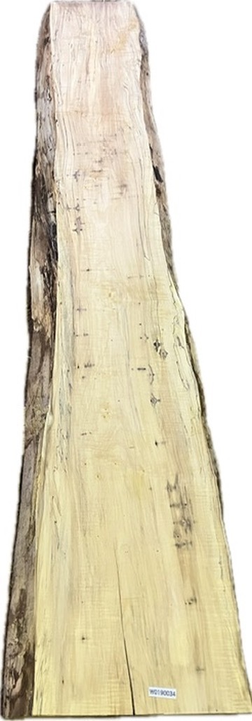 W0190034 トチ 杢 スポルテッド 一枚板拍卖