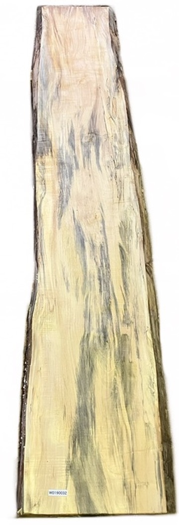 W0190032 トチ 杢 スポルテッド 一枚板拍卖