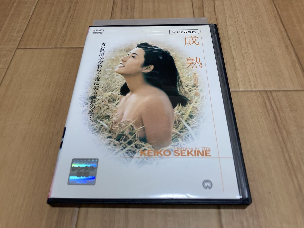 DVD 成熟 関根恵子拍卖
