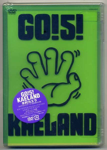 ☆木村カエラ DVD 「KAERA KIMURA GO!5!KAELAND」 初回限定仕様拍卖