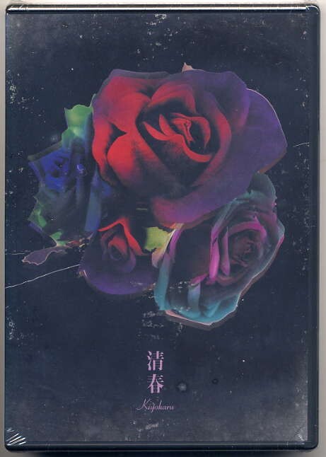 ☆清春 「CLIPS」 DVD 新品 未開封拍卖