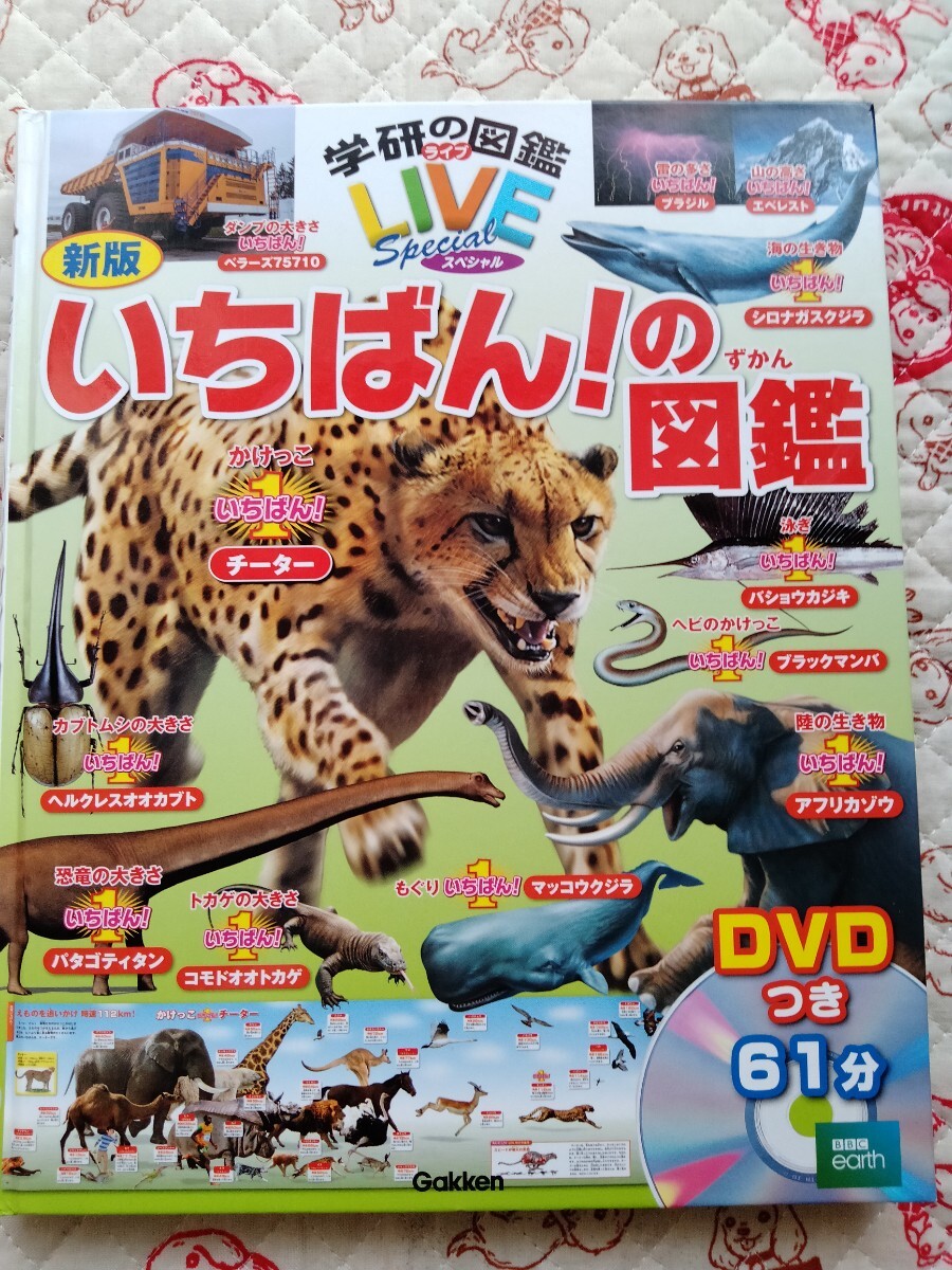 学研の図鑑LIVEスペシャル いちばん!の図鑑 DVD付き カバーなし拍卖