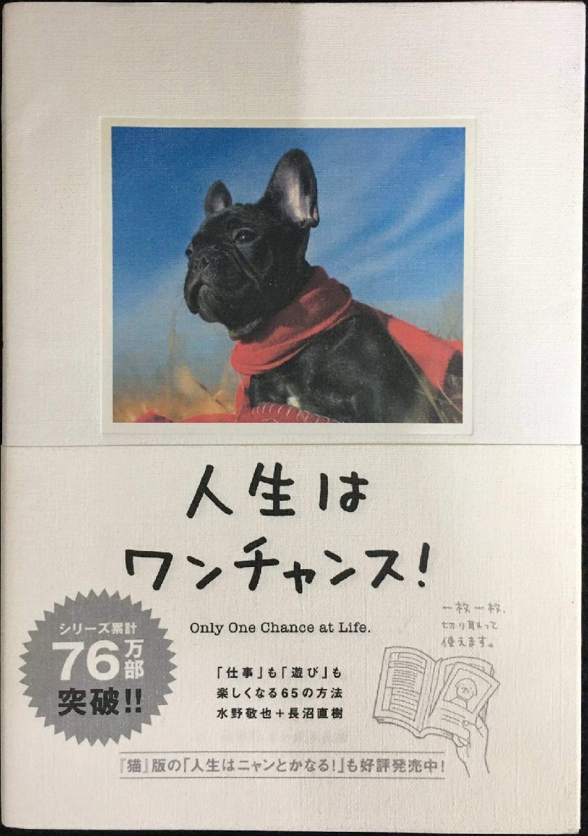 人生はワンチャンス! ?「仕事」も「遊び」も楽しくなる65の方法拍卖