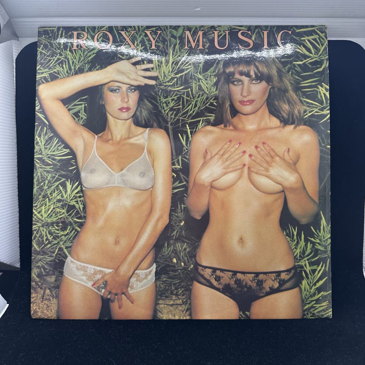 稀少UK盤LP!! ROXY MUSIC ロキシーミュージック COUNTRY LIFE カントリーライフ マトA-3/B-1 ILPS9303 セクシージャケ ヌード NUDE拍卖