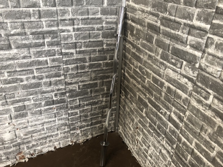 iROTEC アイロテック EZバー アームカールバー 全長120cm 穴径50mm 筋トレ/トレーニング「21642」拍卖