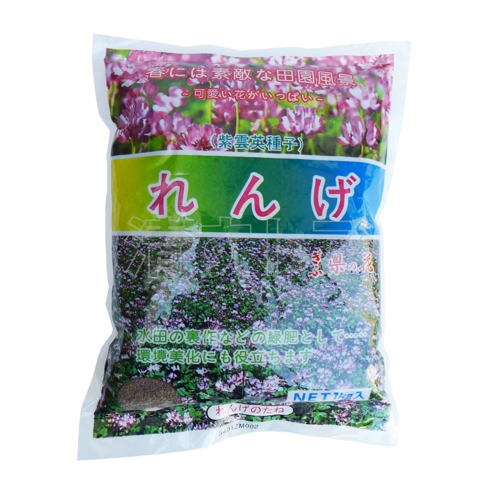 レンゲ草の種 1kg 紫雲英種子 蓮華草 れんげそうのたね拍卖