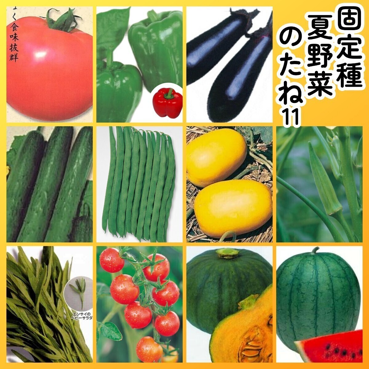 匿名配送無料◆固定種夏野菜の種11◆大玉トマト+ピーマン+ナス+キュウリ+つるありインゲン+マクワウリ+オクラ+空芯菜+ミニトマト+南瓜+西瓜拍卖