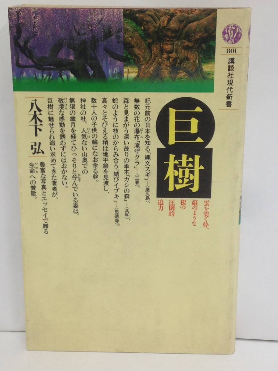 巨樹 著者:八木下弘 発行所:講談社 昭和61年1月10日 第1刷発行拍卖