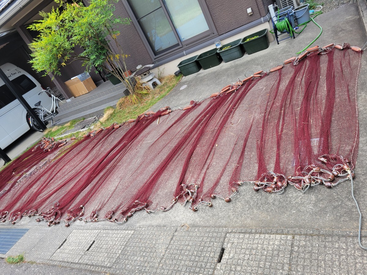 真鯉 地引き網 40メートル 破れ ほつれ 修理して使用できる方 または、害獣ネットととして 拍卖
