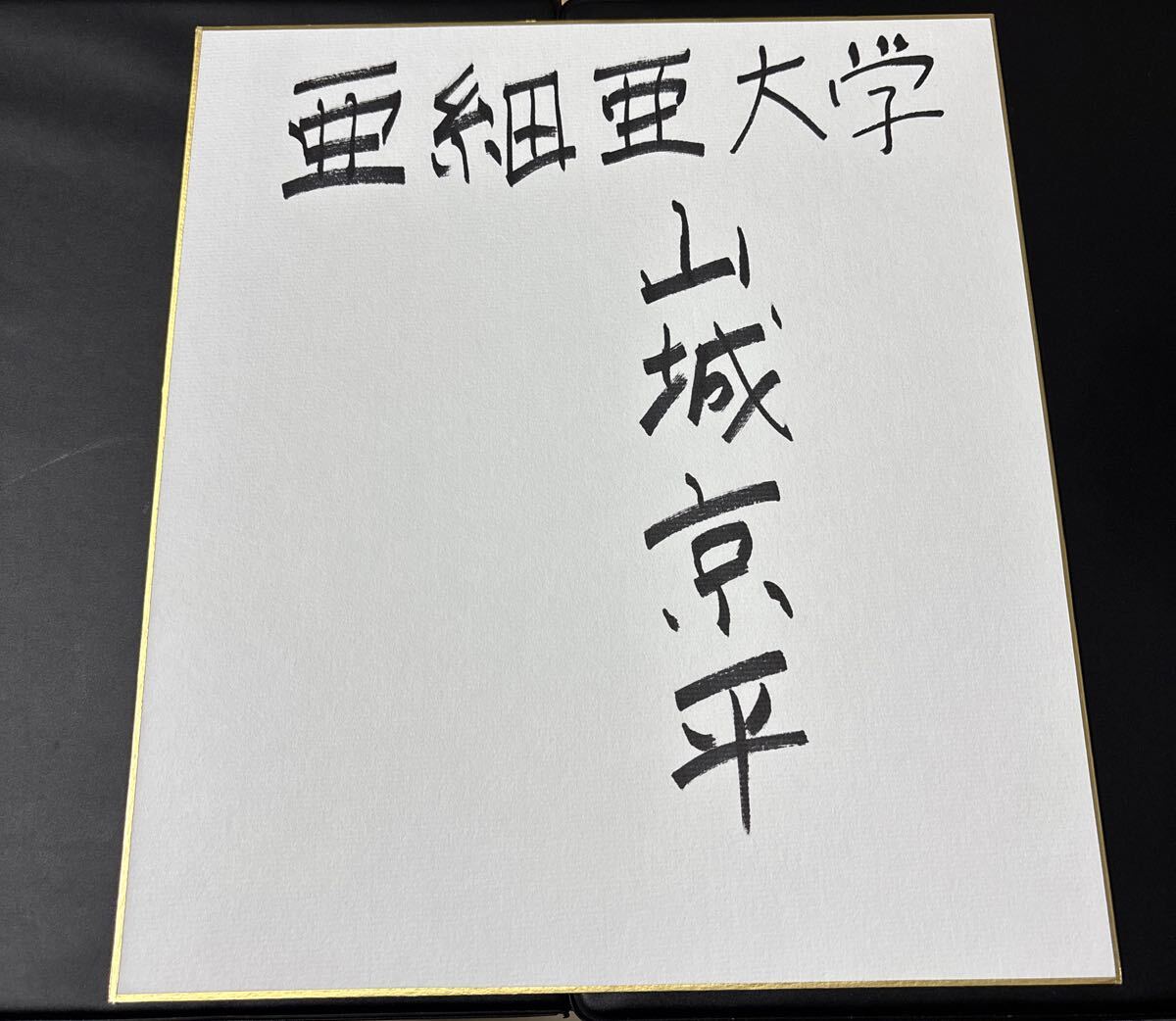プロ野球 亜細亜大学 山城京平 直筆サイン色紙 楷書サイン拍卖