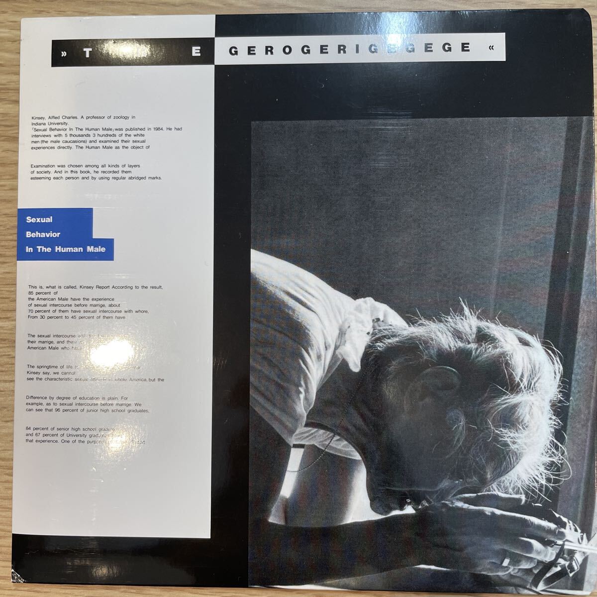 (a) the gerogerigegege - Sexual Behavior In The Human Male 国内盤 EPレコード ハードコア パンク拍卖