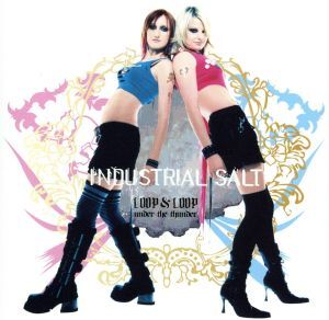 ループ&ループ(アンダー ザ サンダー)/インダストリアル・ソルト拍卖