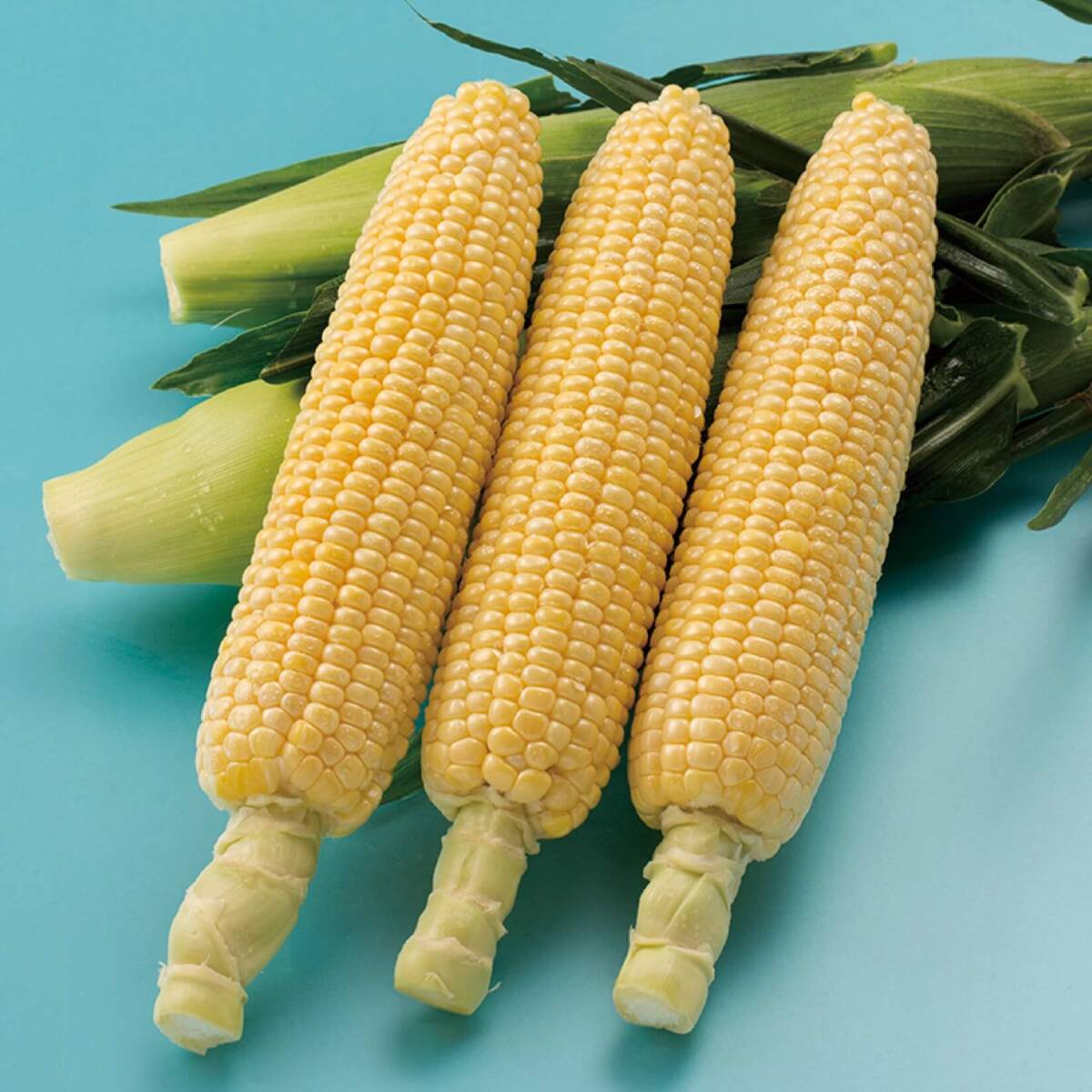 <野菜の種>スイートコーン 味来390 とうもろこし 40粒 小分け品 タネ拍卖