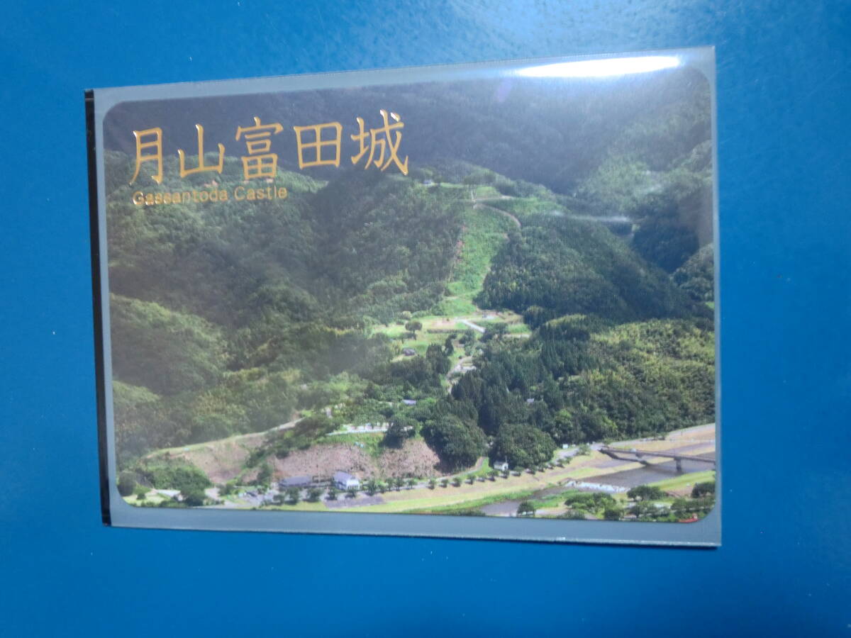 城カード 日本100名城 月山富田城 【即決】拍卖